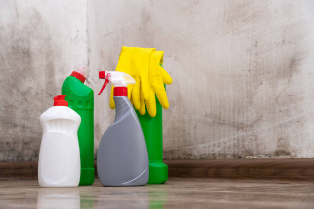 Reliable Scranton, PA Mold Prevention & Removal  Solutions